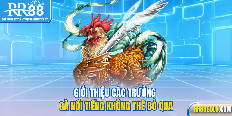 Giới thiệu các trường gà nổi tiếng không thể bỏ qua