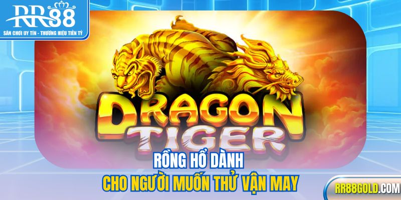 Rồng Hổ dành cho người muốn thử vận may